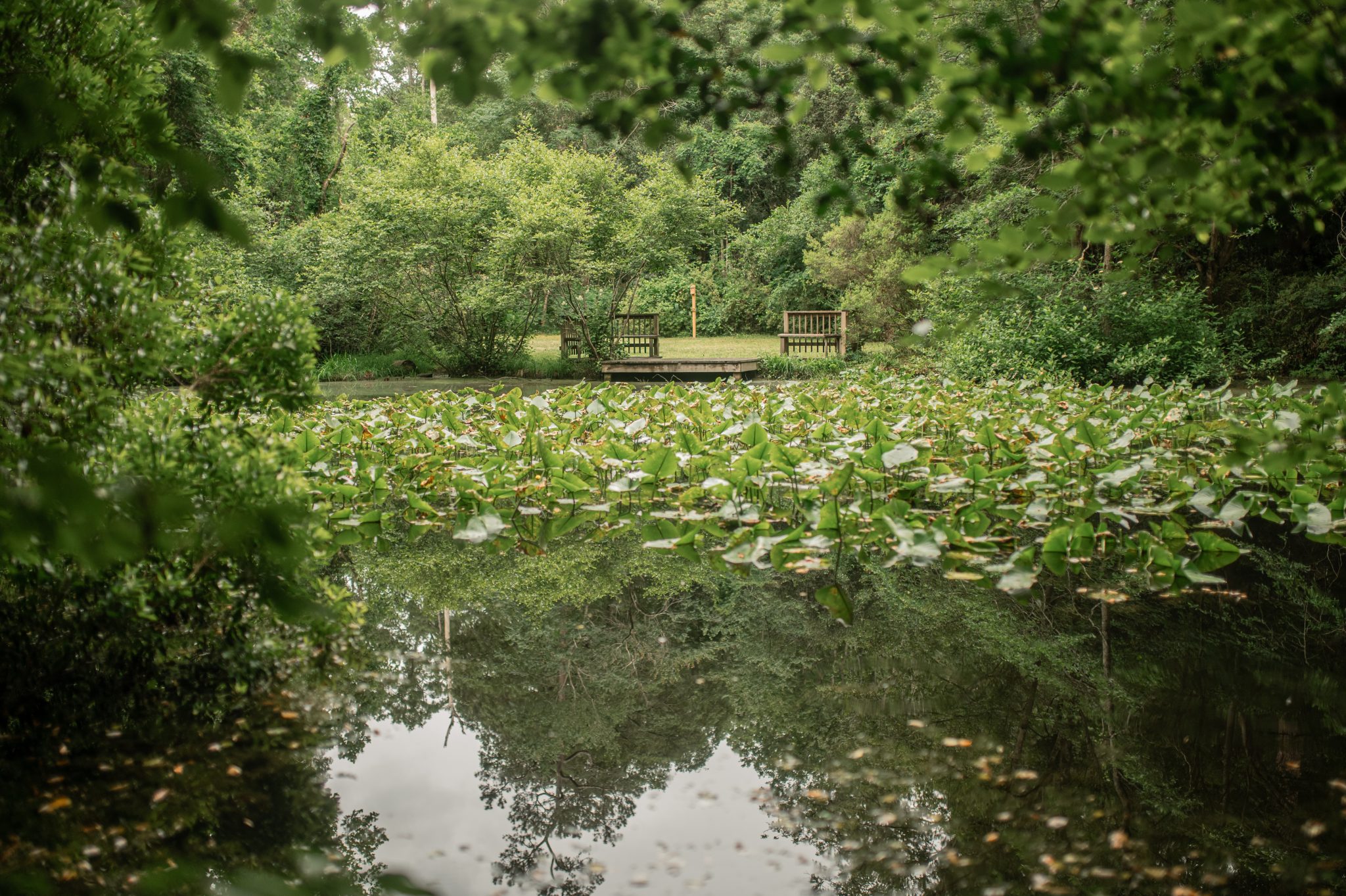 Home - Kalmia Gardens