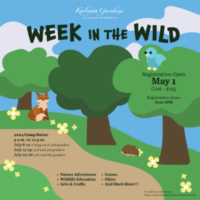 Week in the Wild_Week in the Wild (2)